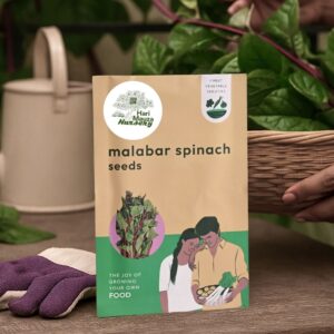 Malabar Spinach Seeds (Poi Saag)