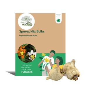 Sparex Mix Bulbs