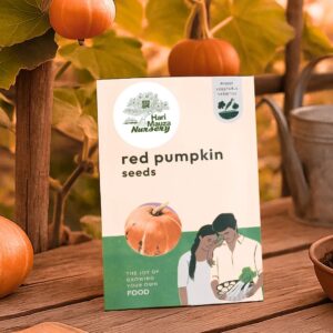 Red Pumpkin Seeds