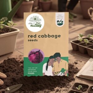 Red Cabbage Seeds