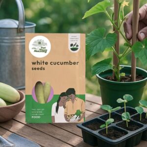 White Cucumber Seeds (Khira)