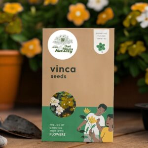 Vinca Seeds