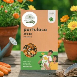 Portulaca Mix Seeds