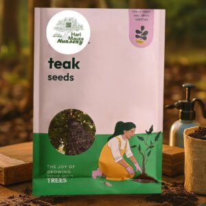 Teak Seeds (Tectoma Grandis) - 100 g