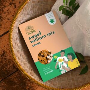 Sweet William Mixed Seeds