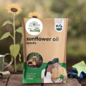 Sunflower Oil Seeds
