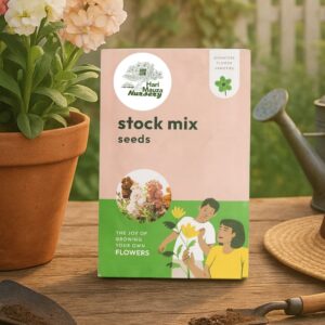 Stock Mix Seeds
