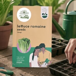 Lettuce Romaine Seeds (Long)