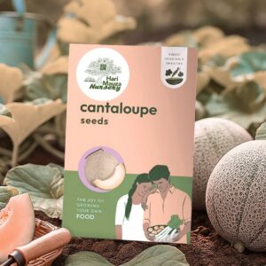 Cantaloupe Seeds (Muskmelon)
