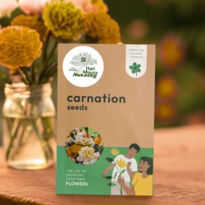 Carnation Seeds