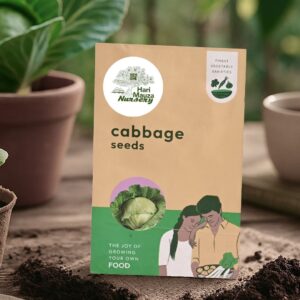 Cabbage Seeds
