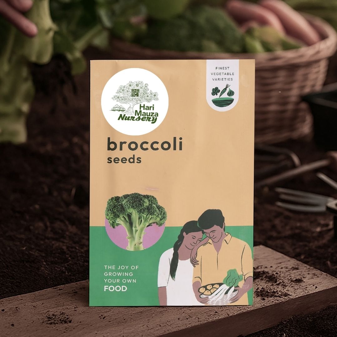 Broccoli Seeds