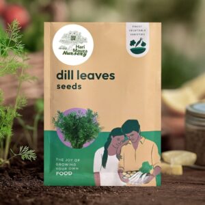 Dill Leaves Seeds (Suwa)