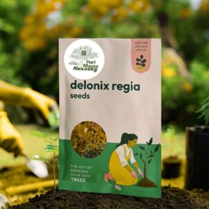 Delonix Regia Seeds (Flamboyant Tree) - 100 g