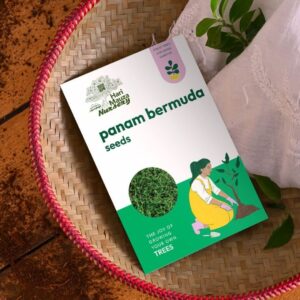 Panam Bermuda Grass - 250 g