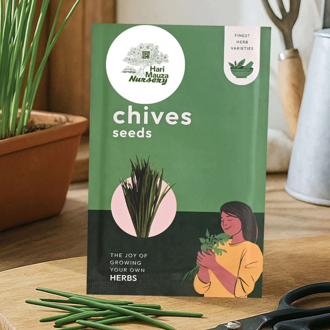 Chives Seeds