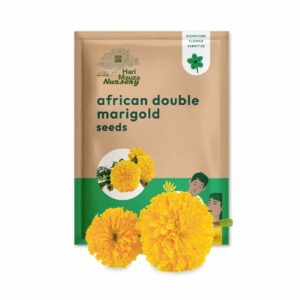 Marigold African Double Seeds