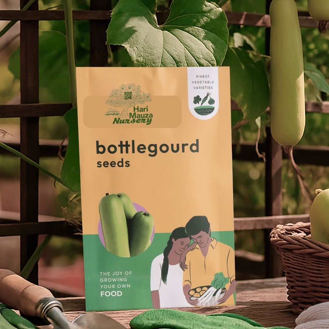 Bottlegourd Seeds (Long)