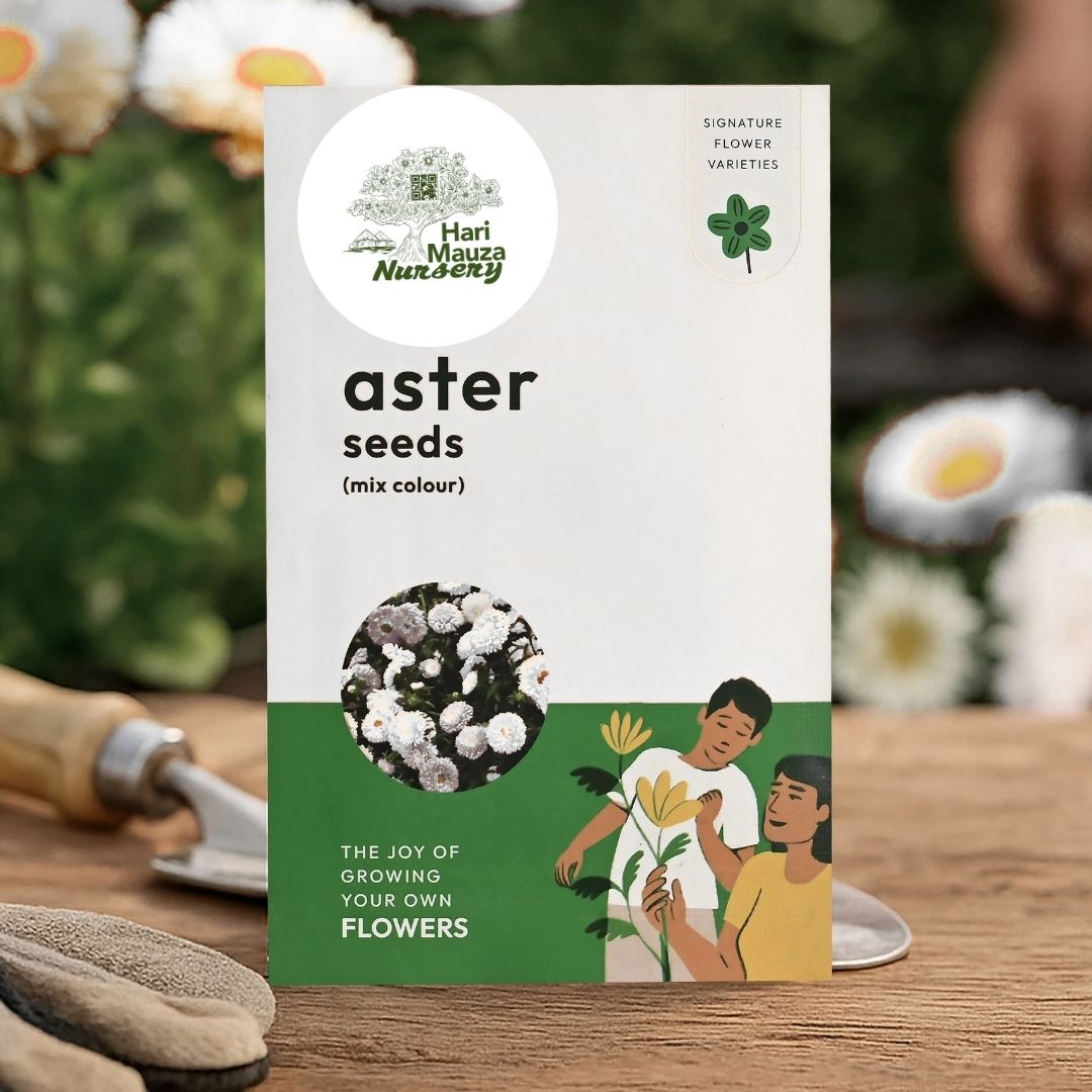 Aster Mix Seeds