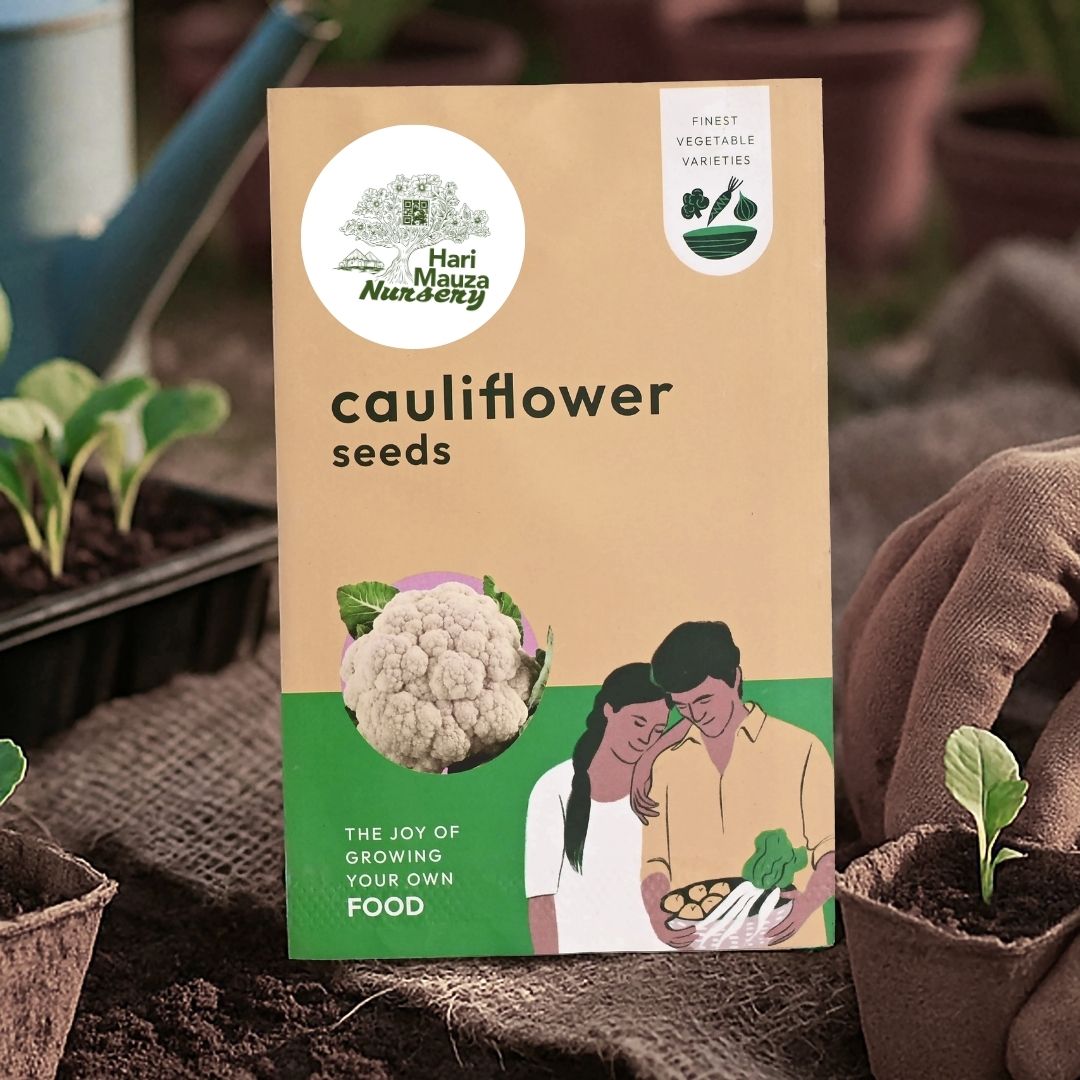 Cauliflower Seeds