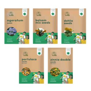 Flower Seeds Bundle of 5 Packet