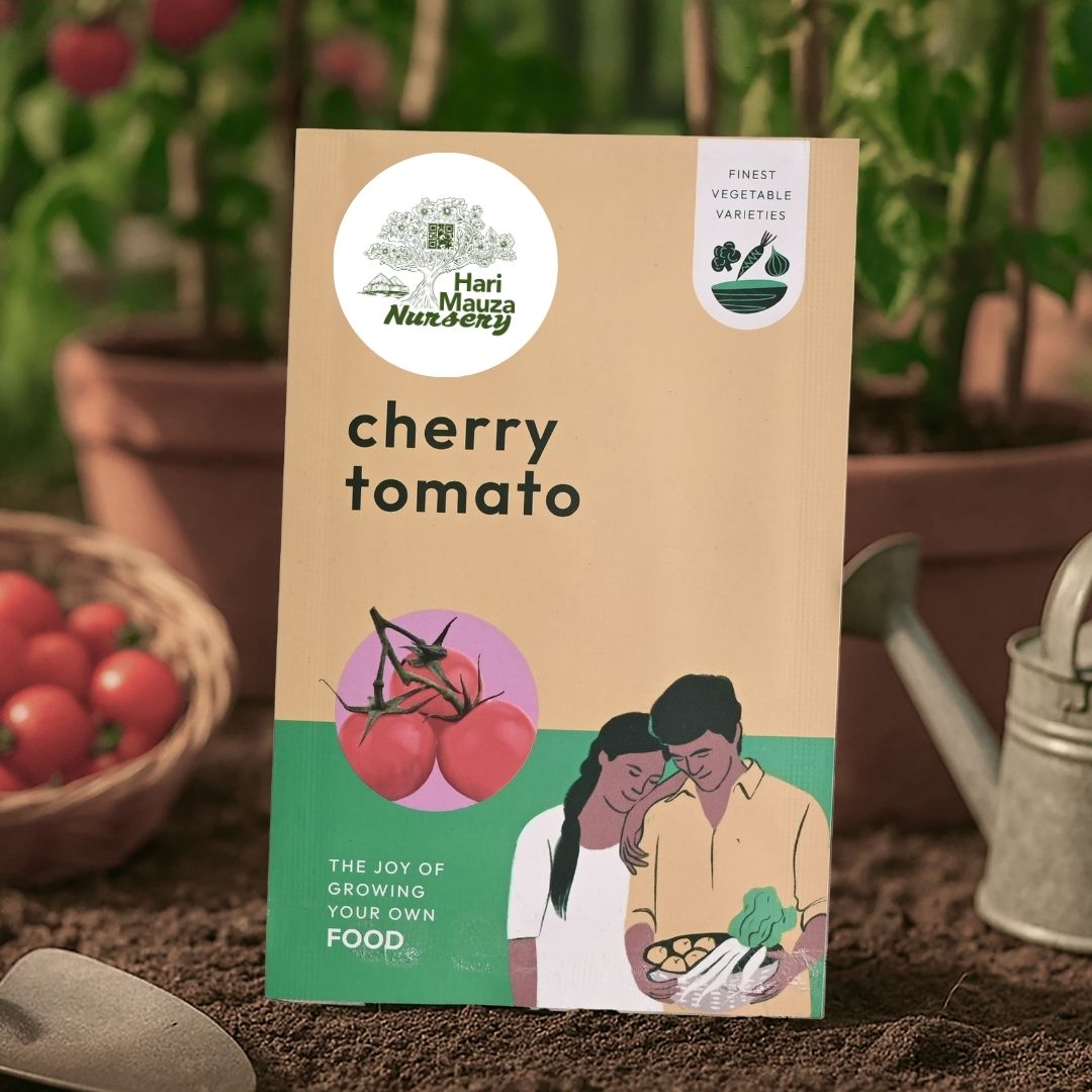 Cherry Tomato Seeds
