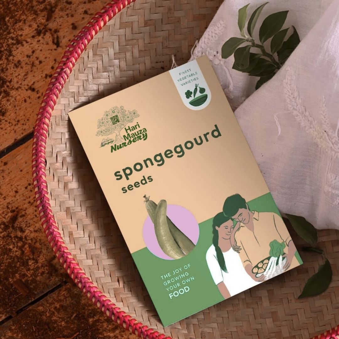 Sponge Gourd Seeds