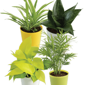 The Sleep Better Bundle